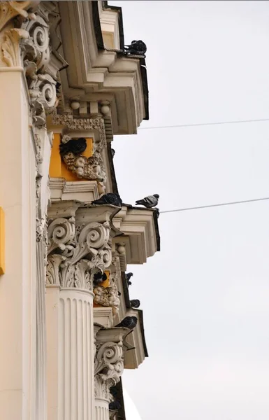 Городские Голуби Сидят Архитектурном Карнизе Крыши Старого Здания — стоковое фото