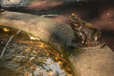 Çeşmenin elementi, St. Petersburg 'daki Nikolsky Bahçesi' nde pirinçten yapılmış bir kurbağa şeklinde. Eski St. Petersburg şehrinde mimari detaylar.