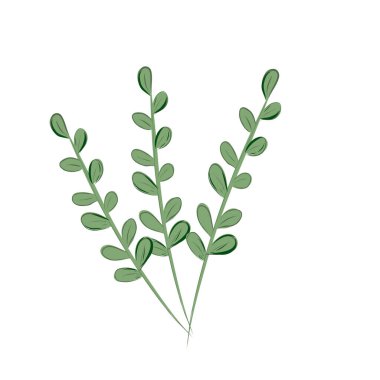 Homeplant 'ın üç yeşil dalı 