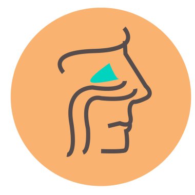 sinuses and location on the head of a human icon Vector on a peach background. ambulance van sign icon page symbol for your web site design  logo, app, UI. Vector illustration, EPS10