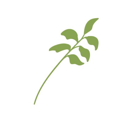 Yaprak elementli yeşil bitki