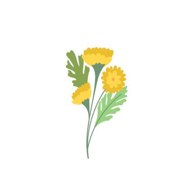 Sarı Kasımpatı çiçekli brunch vektörü 