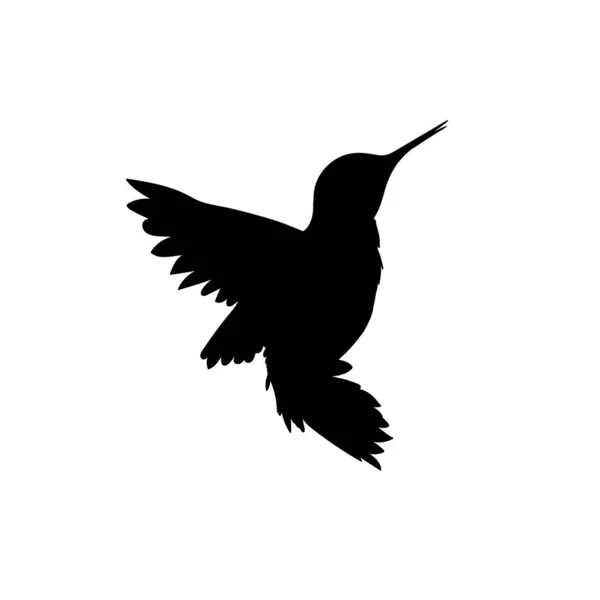 Чорна ікона колібрі. Малий екзотичний вектор птахів — стоковий вектор