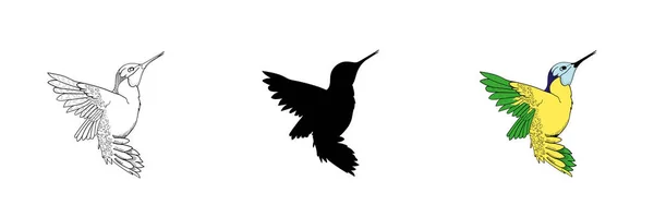 Conjunto de tres colibríes de estilo diferente. — Vector de stock