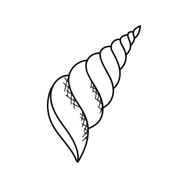 Deniz kabuğu ya da yumuşakça. Okyanustaki deniz yaratığı.