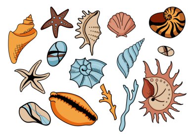 El yapımı deniz kabukları. Yosun seti, taşlar, kabuk.