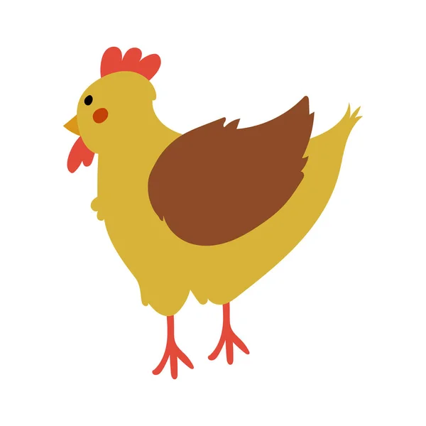 Gallina amarilla y marrón, vector de cría de aves — Archivo Imágenes Vectoriales