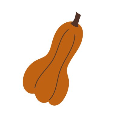 Düz Stil Resimli Turuncu Balkabağı Meyve Simgesi