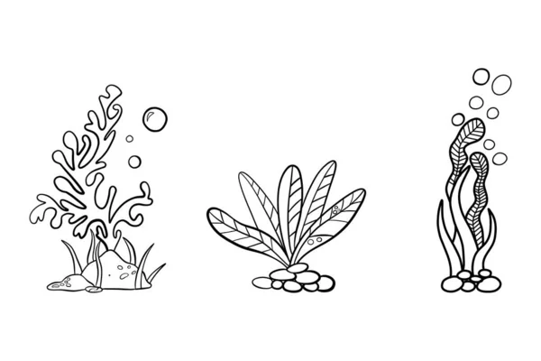 Handgezeichnetes Doodle aus Unterwasseralgen, Aquarium. — Stockvektor