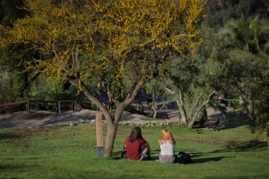 Sırtı sarı bir ağacın altında oturan iki insan.