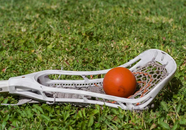 Lacrosse stick and red ball on the grass background. Lacrosse is
