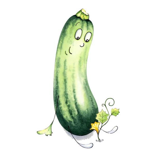Zucchini with a small sprout. Funny, watercolor character.