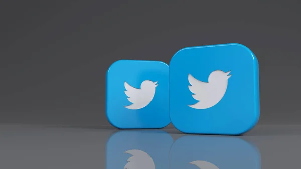 Rendering Two Twitter Square Badges Gray Background — Stock Photo, Image