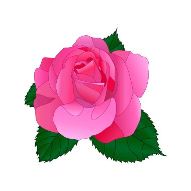 Yapraklı pembe gül çiçeği. Dövme için dekoratif unsur, tebrik kartı, yıldönümü, düğün. EPS 10 'un vektör çizimi.