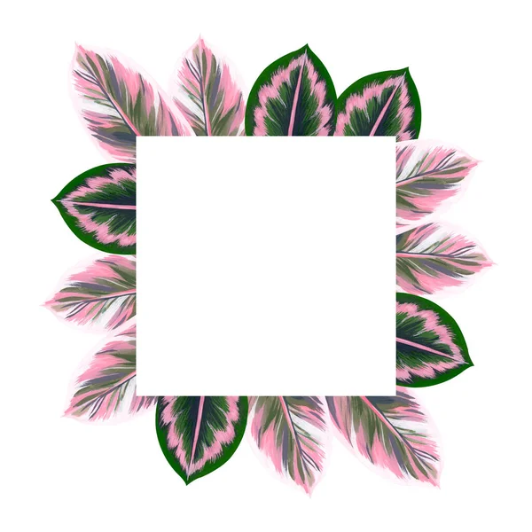Рамка Тропическими Листьями Ручной Рисунок Гуашь Изолирован Белом Фоне Оформления — стоковое фото