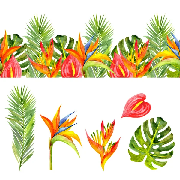 Seamless border with bright tropical flowers and leaves. Set with tropical plants (palm leaf, monstera leaf, heliconia, anthurium, strelitzia)