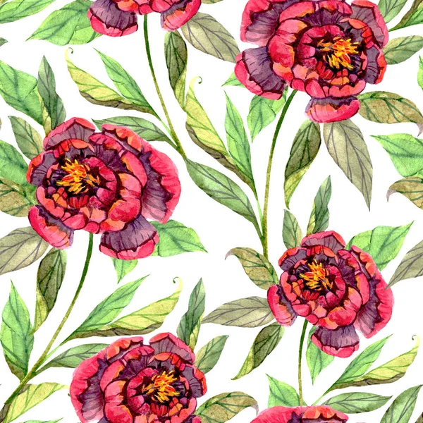 Seamless Pattern Watercolor Peonies White Background Floral Print Textiles Wallpaper — Stock Photo, Image