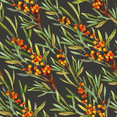 Dik desenli, sulu boya deniz dikenli.