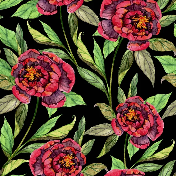 Бесшовный Рисунок Акварельными Пионами Черном Фоне Цветочный Отпечаток Текстиля Обоев — стоковое фото