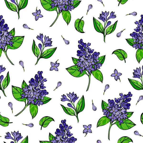 无缝隙图案 紫色紫丁香花 绿色叶子 白色背景 粉刷而成的花 — 图库照片