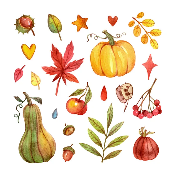 Niedliche Herbst Set Mit Kürbissen Blättern Und Anderen Elementen Von — Stockfoto