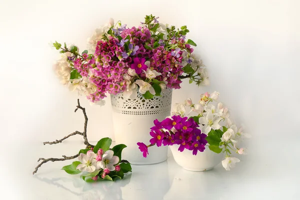 Bodegón de flores de primavera en color rosa y blanco  . — Foto de Stock