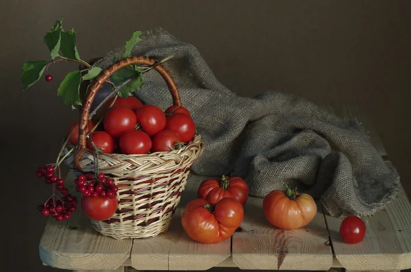 Tomates verdes na cesta isolados em fundo branco — Fotografia de Stock