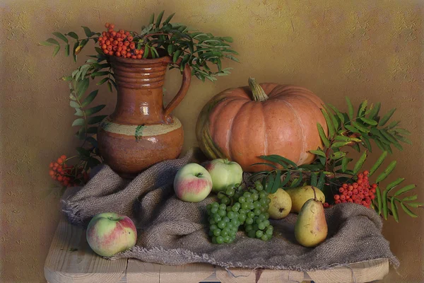Still life with pumpkin , grapes and apples . Stock Image
