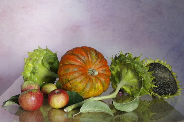 Nature Morte Avec Des Citrouilles Des Tournesols Des Pommes Sur — Photo