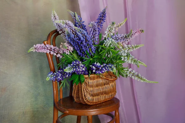 Beautiful Lupines Vase Isolate Brown Background — Stock Photo, Image