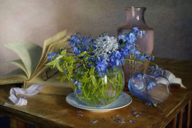 Still life with blue, spring primroses and an old book in the background.