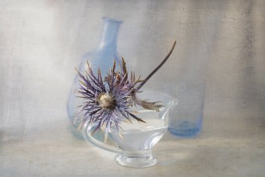 One dried flower in a glass vase
