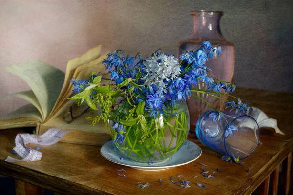 Still Life Blue Spring Primroses Old Book Background — Stok fotoğraf