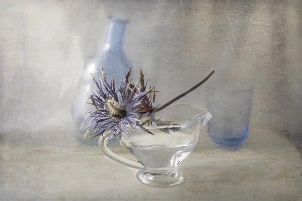 One Dried Flower Glass Vase — Foto de Stock