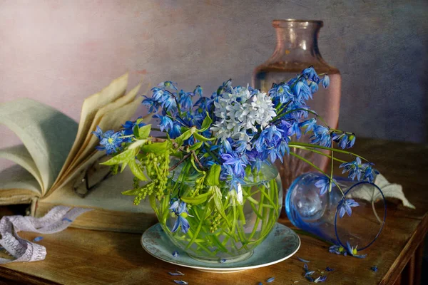 Still Life Blue Spring Primroses Old Book Background — Stockfoto