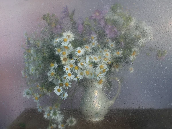 Kwiaty Kroplami Deszczu Szkle — Zdjęcie stockowe