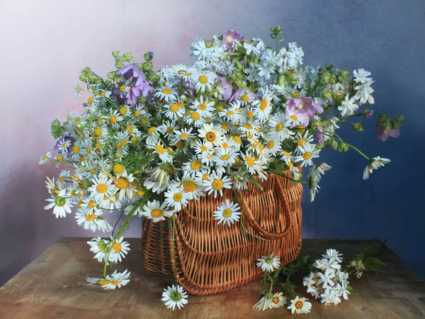 Zátiší Život Sedmikrásky Pestrobarevném Pozadí Louka Květiny Kytici Royalty Free Stock Obrázky