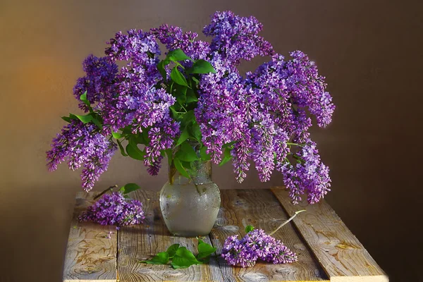 Bouquet of a blossoming lilac lime . — Stock Photo, Image