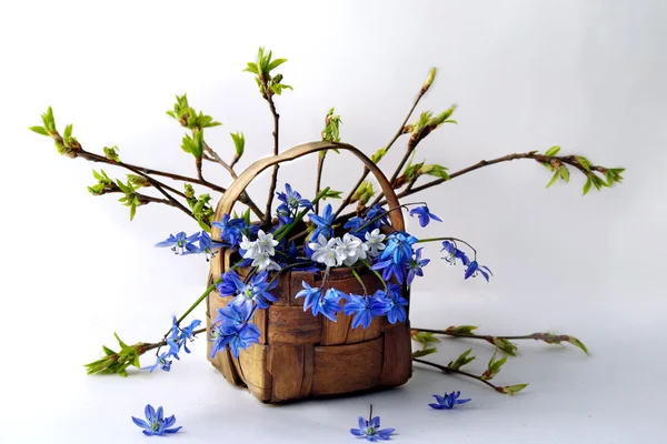 Kardelen natürmort bahar buket çiçekler