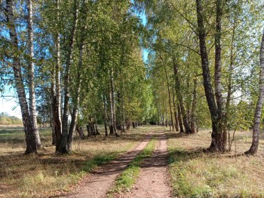    Köyde güçlü bir rüzgar var. Ağaçlar sallanıyor. Bulutlar gökyüzünde süzülür.