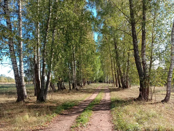    Köyde güçlü bir rüzgar var. Ağaçlar sallanıyor. Bulutlar gökyüzünde süzülür.