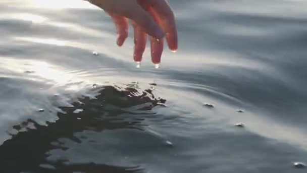 Close up of a womans hand is gently touching surface waves of the sea in sunset — Stock Video