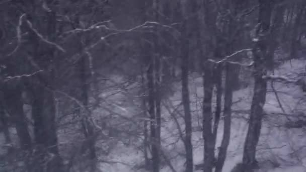 Luftaufnahme, Schneesturm in einem Bergwald. Kaltes Wetter. Aufwärtsbewegung — Stockvideo