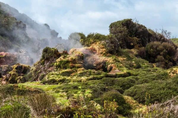 Terceira — Foto Stock