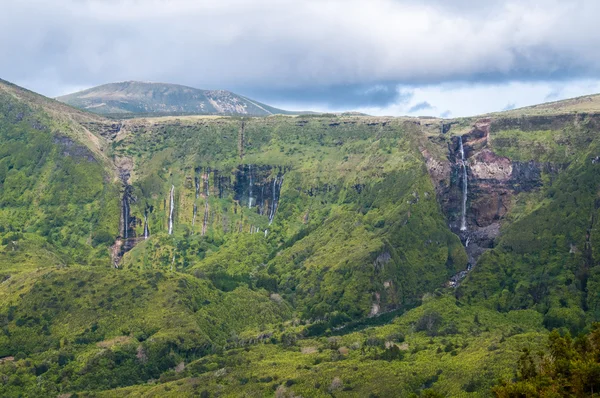 Флорес — стокове фото