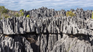 Tsingy de Bemaraha.