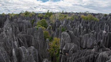 Tsingy de Bemaraha.