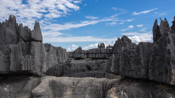 Tsingy de Bemaraha. — Zdjęcie stockowe