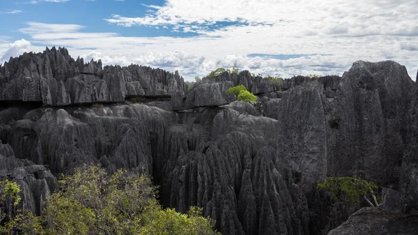 Tsingy de Bemaraha. —  Fotos de Stock