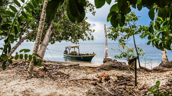 Båt i Punta Cahuita — Stockfoto